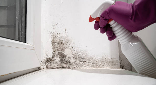 Professional Water damage restoration in Village Of Four Seasons, MO